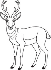 Elegant black and white Pronghorn illustration for coloring book pages