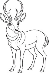 Pronghorn Line Art Illustration for Coloring Books and Designs