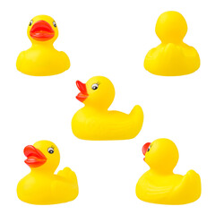 yellow rubber duck