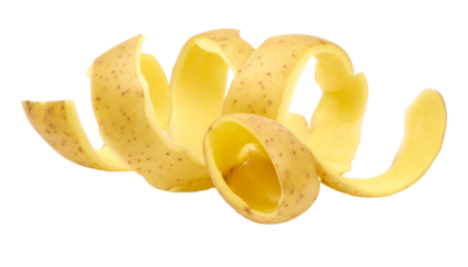 Potato peel forming a spiral on transparent background