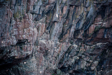 Fototapeta premium Bonaventure island