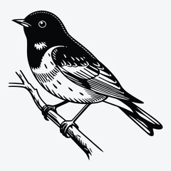 Fototapeta premium American Robin line art White background illustration Generative Ai.
