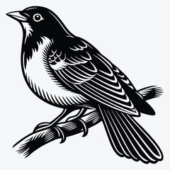 Obraz premium American Robin line art White background illustration Generative Ai.