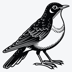 Obraz premium American Robin line art White background illustration Generative Ai.