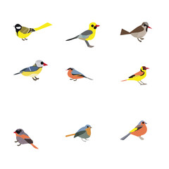  Nice Birds Vector set 