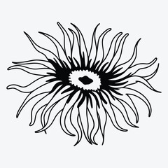 Anemone line art White background illustration Generative Ai