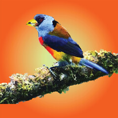 Vibrant and Colorful Bird Perched on a Branch