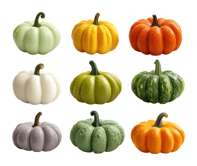 Harvesting colorful pumpkins in autumn farm fresh produce collection vibrant nature scene isolated on transparent background