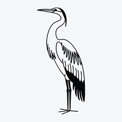 Obraz premium Anhinga line art White background illustration Generative Ai