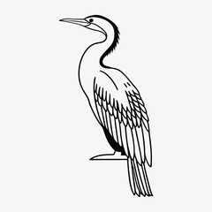Obraz premium Anhinga line art White background illustration Generative Ai
