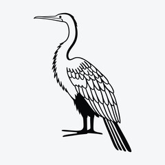 Fototapeta premium Anhinga line art White background illustration Generative Ai