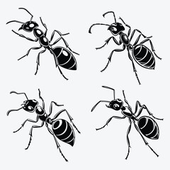 Ant line art White background illustration Generative Ai