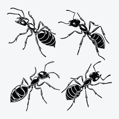 Ant line art White background illustration Generative Ai