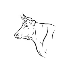 Elegant Line Art: Bull Portrait Illustration