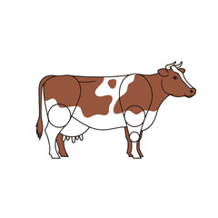 Brown and White Dairy Cow Illustration on White