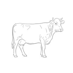 Cow Line Art: Simple Farm Animal Illustration