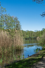 Joli petit sentier autour de l’étang paisible