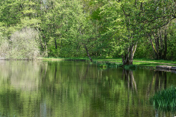 Joli petit sentier autour de l’étang paisible