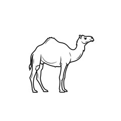 Camel Silhouette: Desert Animal Illustration
