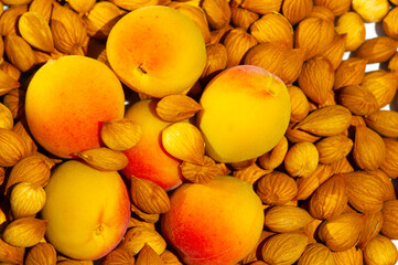 Apricot kernels, in the food industry, apricot kernels can be used in the preparation of low-fat...