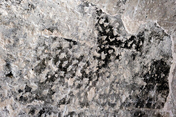 Fototapeta premium Textured stone surface with natural patterns and weathered details