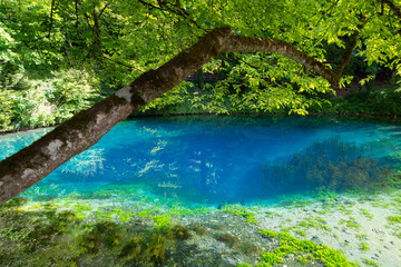 Blautopf in Blaubeuren