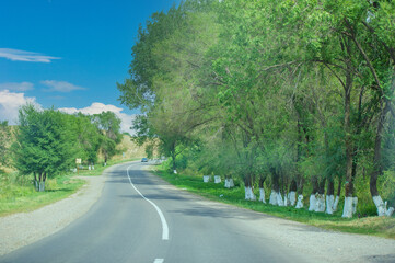 Take a scenic drive to the majestic foothills. Relax and unwind in the beauty of nature. Along the way, explore hiking trails, local shops, and charming cafes.