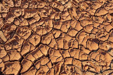 As the sun sets over the horizon, discover the enchanting charm of a desert oasis! Stroll through the impressive sand dunes and marvel at the intricate textures and patterns etched into their surfaces