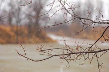The river melts and flows freely again. The trees are blooming with new leaves in a vibrant green. Last year's yellow grass slowly turns green with the arrival of spring.