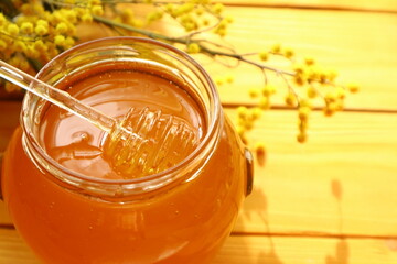 Fresh tasty honey and cheese                               