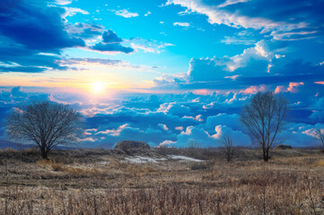 Yellow fields with sparse grass signal the beginning of spring. The trees are bare, without leaves....
