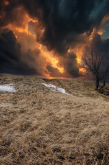 Fototapeta premium Yellow fields contrast with patches of lingering snow. The trees stand bare and stand out sharply against the background of the landscape. The promise of spring is evident in the withered grass