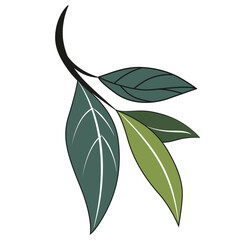 Branch with leaves. Plant vector illustration. Green foliage isolated drawing on white background. Botanical art for Wedding Invitation, thank you, greeting card.