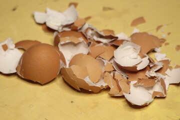 Broken Egg Shell Close Up