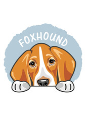 Peeking cute sad foxhound. Sticker