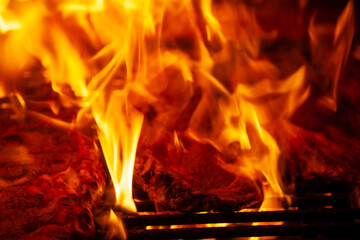 Entrecote a la parrilla con llamas