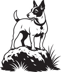 Watchful dog standing on rocky outcrop, Guard dog silhouette strong stance