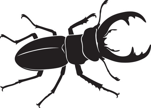 Stag beetle detailed silhouette drawing black, Horned insect black white flat art