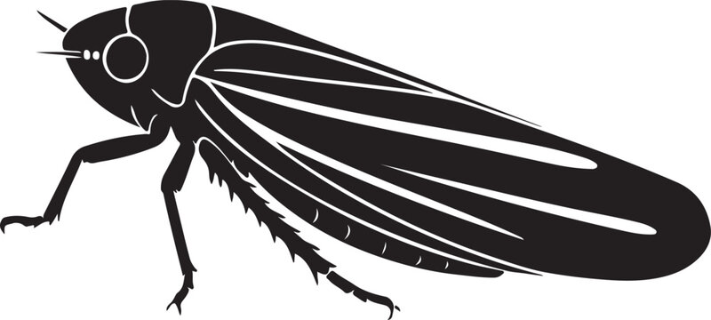 Leafhopper insect black silhouette design, Stylized leafhopper minimal vector insect