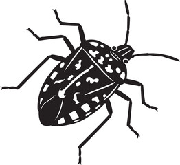 Spotted stink bug vector black illustration, Insect with spots black and white design