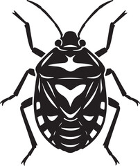 Detailed insect silhouette black white, Complex bug drawing for entomology art