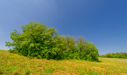 Obraz premium Spring photography, meadow fields, trees, hills and ravines, bright sun on a cloudy sky