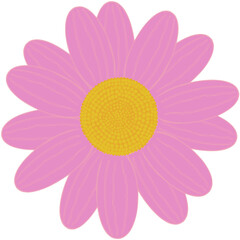 Beautiful shape and colors of soft pink daisy flower petals are starting to bloom.