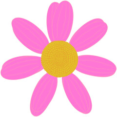 Beautiful shape and colors of soft pink daisy flower petals are starting to bloom.