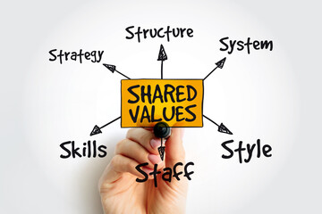 Shared values management business strategy mind map concept with marker