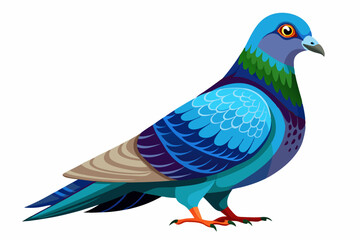 Fototapeta premium vector of Lahore pigeon isolated on white background