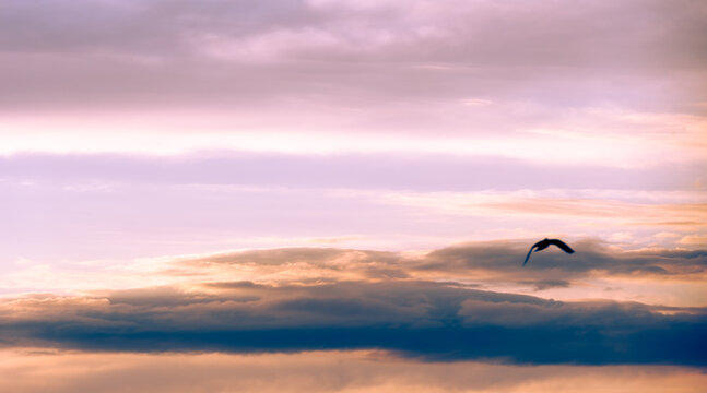 Clouds dawn sunset romance. No cloud is so dark that eventually the sun cannot shine through it.