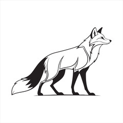 red fox vector art illustration