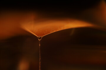 Brown liquid surface, oil production, brown bubbles in macro, texture of viscous black liquid, oil...