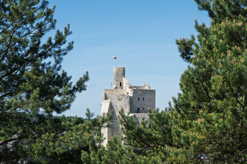 zamki na jurze krakowskiej i okolice Ogrodzieniec © rob